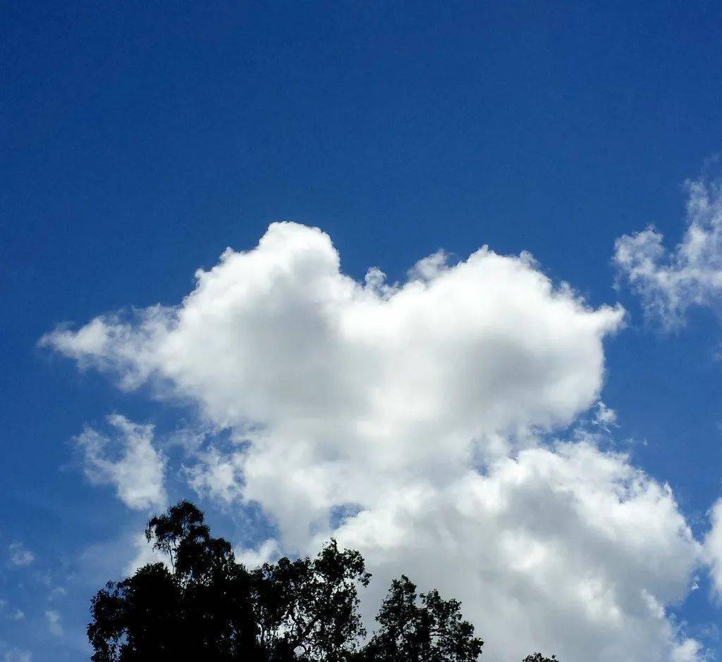 好文分享一朵白云的旅行