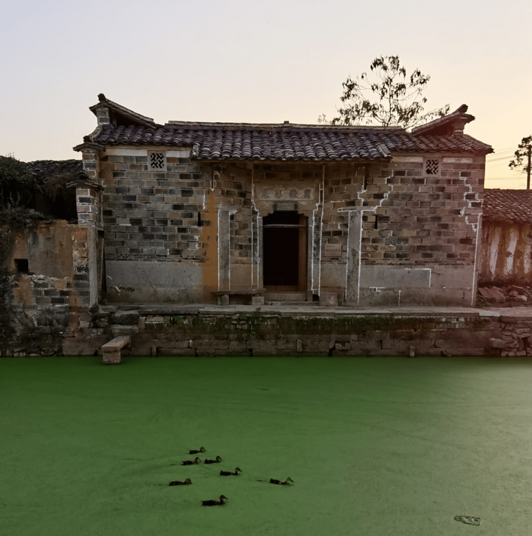 蒲塘村最近有些变化,拍来与大家共赏