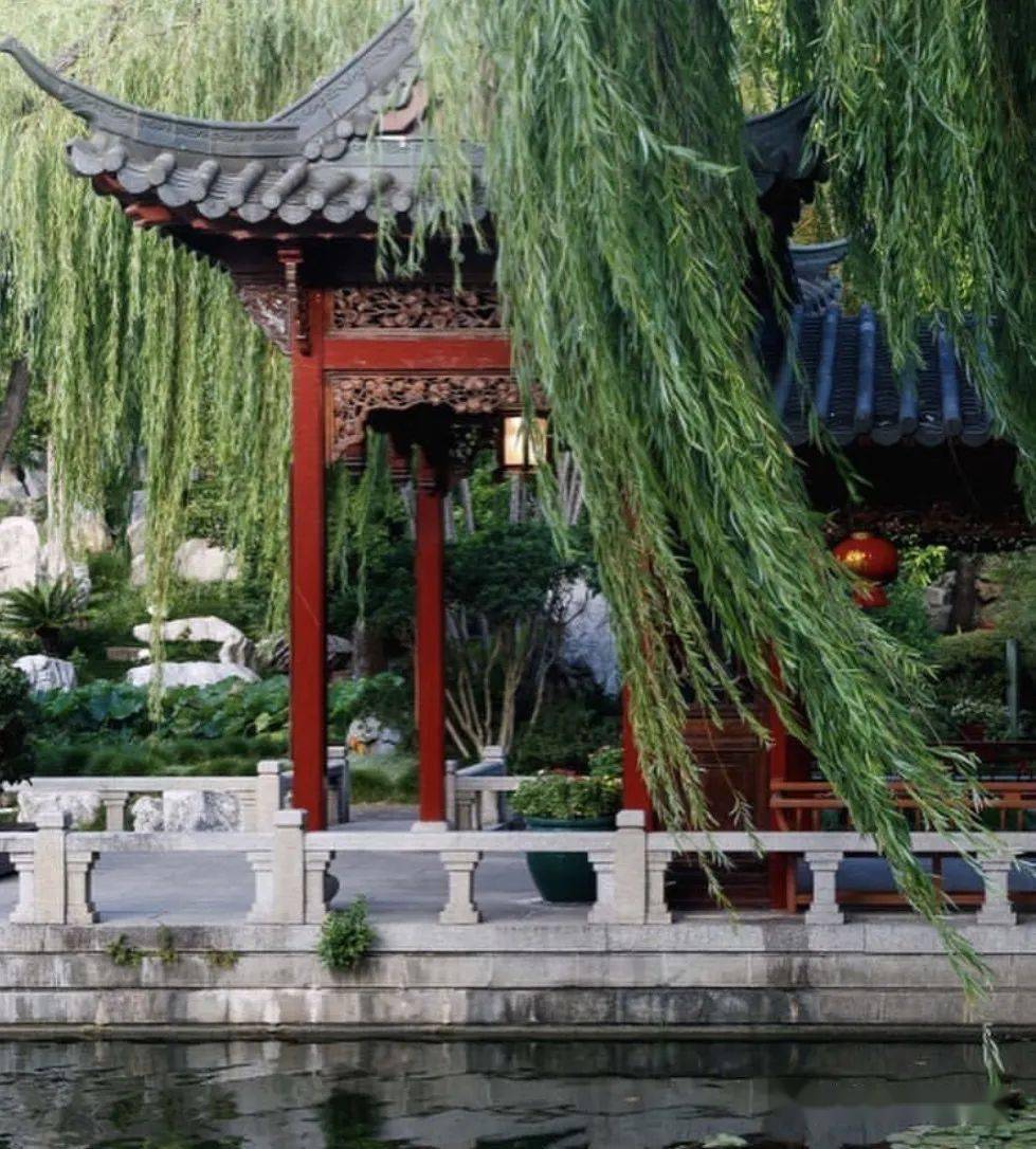 悉尼人注意不要去这家餐厅拍照会被没收手机