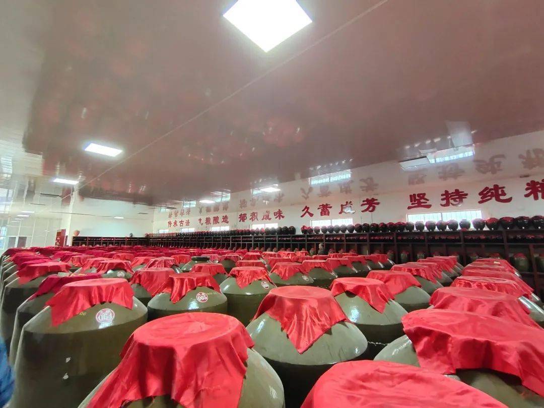 共分享 同成长 | 企业大走访—走进洛阳古洛酒铺酒业有限公司