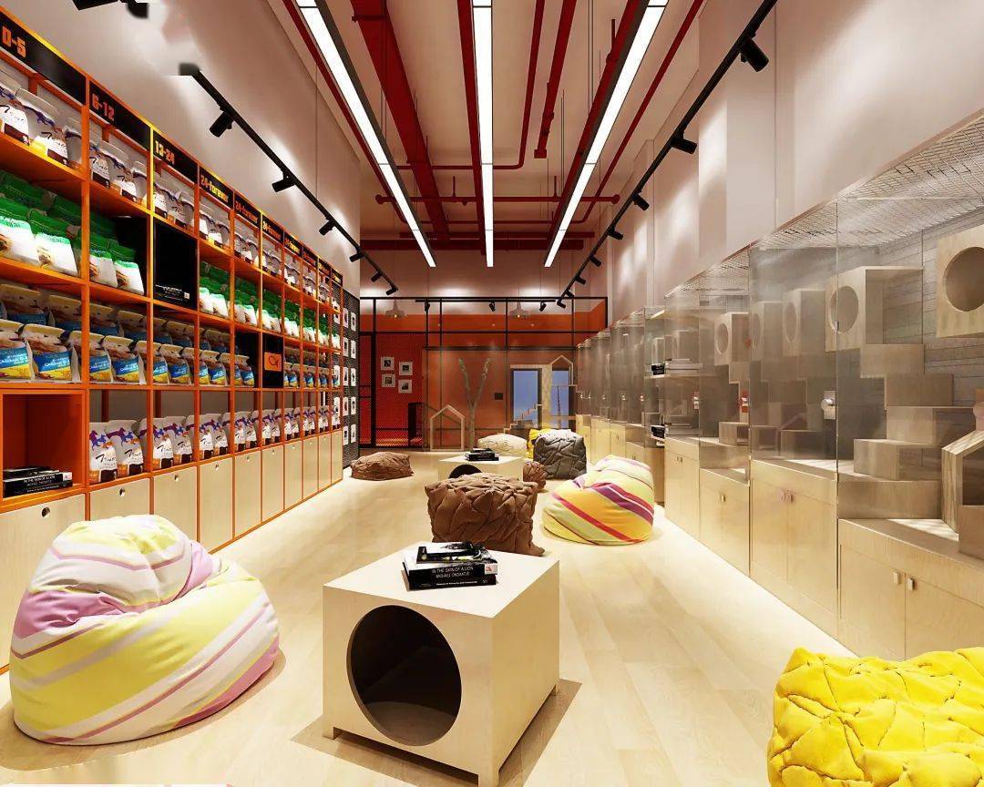 这家宠物会所竟有这般神奇魔力!