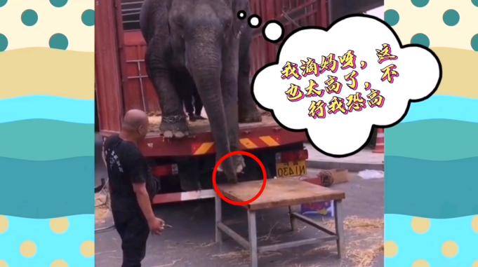 搞笑视频我的妈呀这也太高了我有恐高症啊