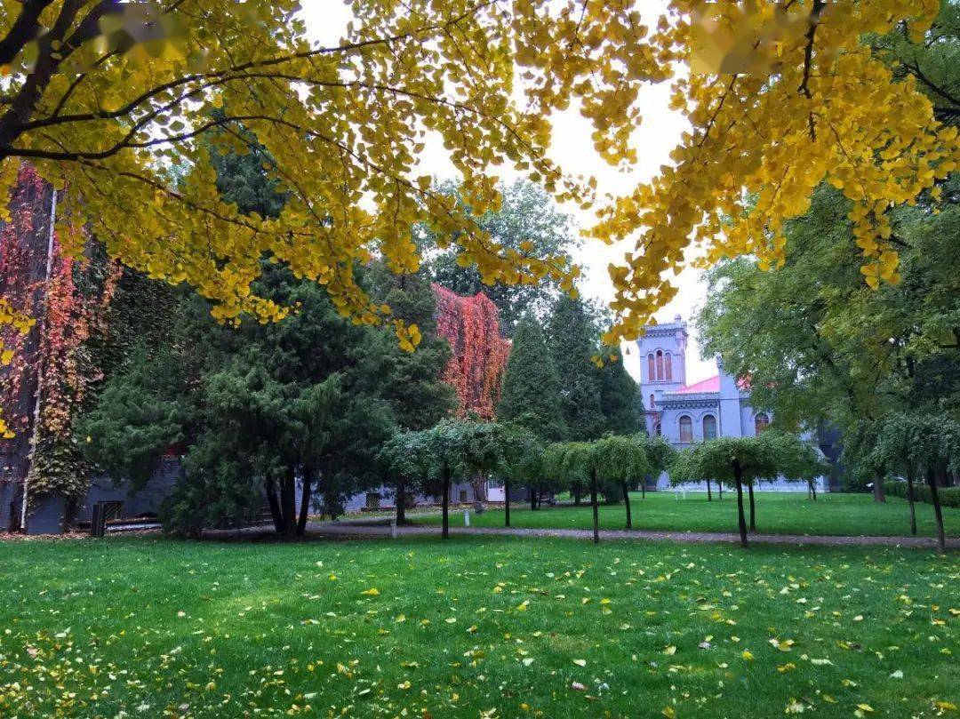 投票|一大波校园秋色美图来袭,你最pick哪一个?_手机搜狐网