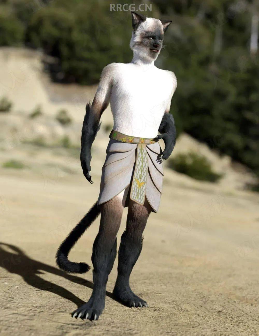 人形雄性猫类角色3d模型合集