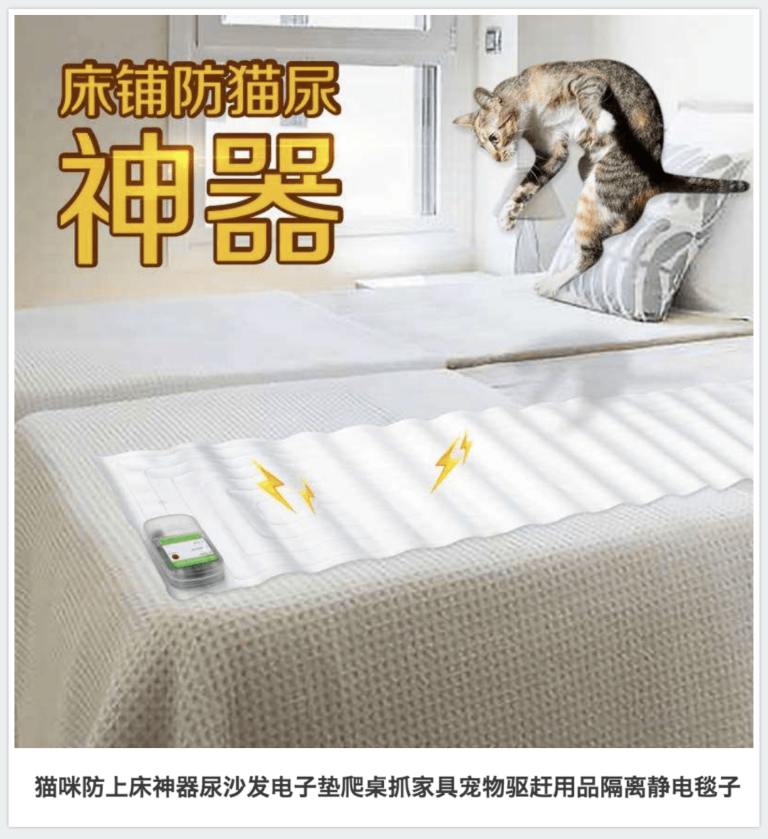 丝毫不在意,这样的操作是否会让敏感的猫咪产生应激反应.