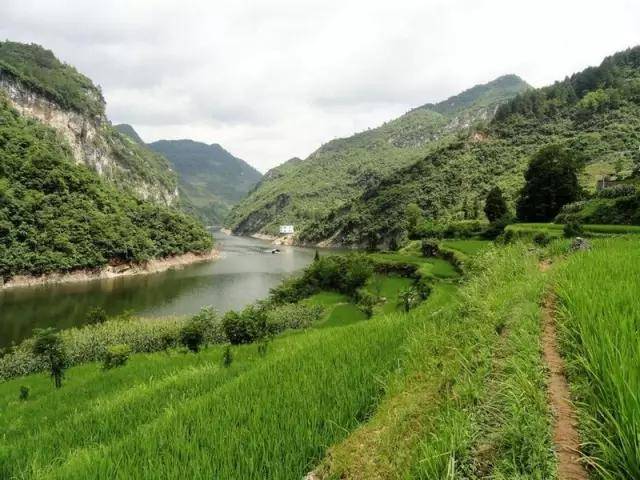 清水江迷人的风光