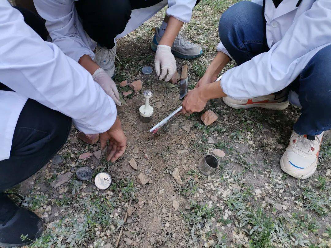 这些实验课,可以满足你的好奇心吗_土壤学