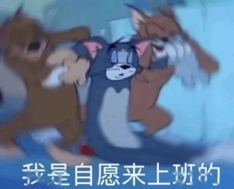 打工人,送你一杯"续命"咖啡,坐标武定路