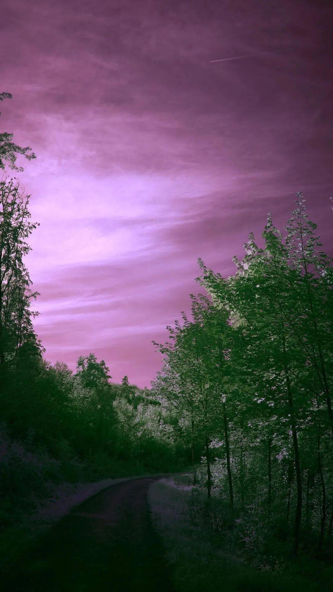 全景图怎么在手机上播放_手机全景图片怎么播放_全景播放图手机上怎么看