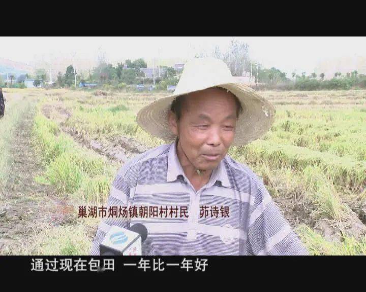 巢湖新闻新闻特写汪国良的丰收年