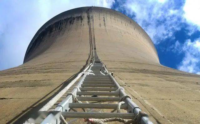 看到这35张图片你会头皮发麻吗会的话多半是有巨物恐惧症
