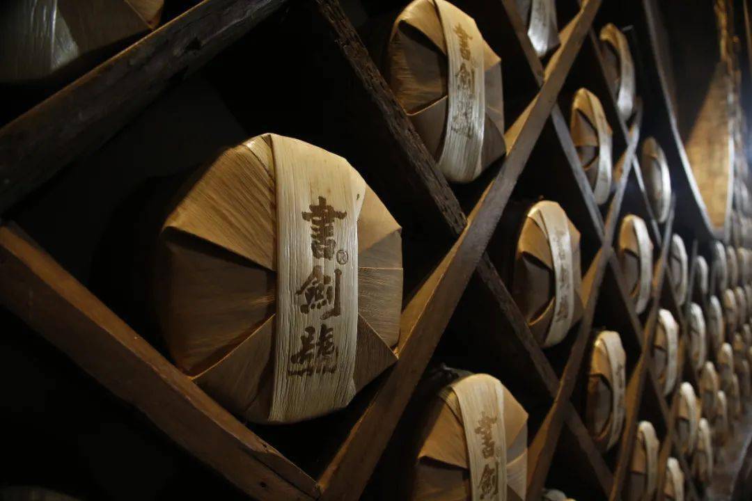 唯苦过方知甜书剑古茶2020苏州秋季茶博会如约而至