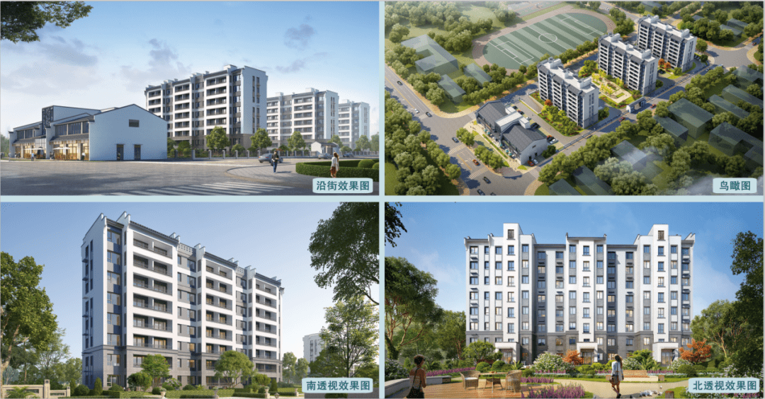 海青镇 | 引进项目增后劲 宜居宜业促民生