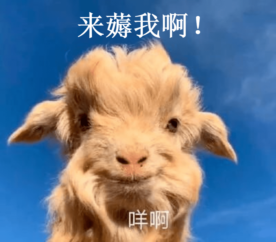 今天晚上19点一起去万达广场薅最豪横的羊毛!