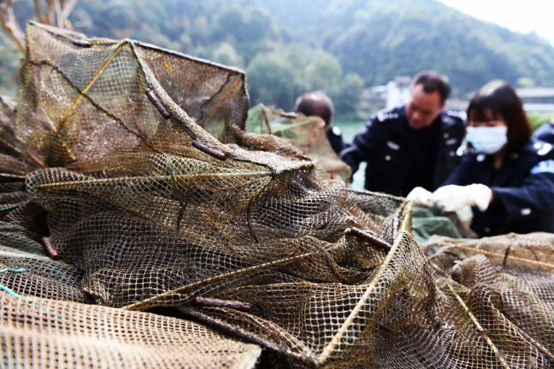 龙胜:打击非法捕鱼 保护生态环境