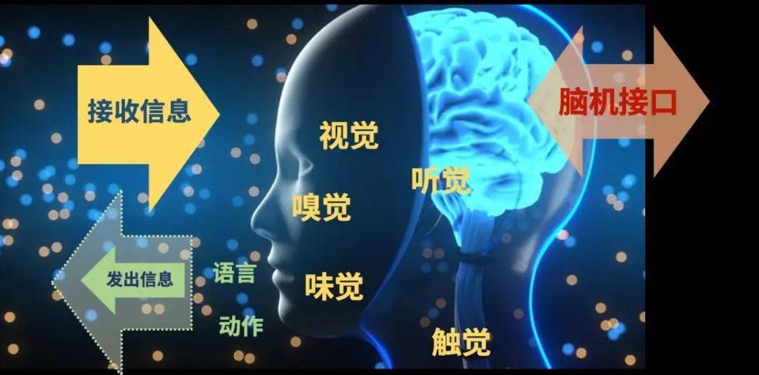 这位老先生终于通过脑控机械手吃到了中华传统美食——油条