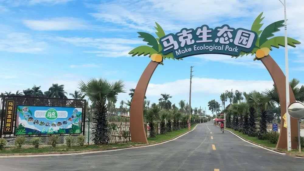 格桑花海椰林环绕双十一来南沙马克村看广州小三亚
