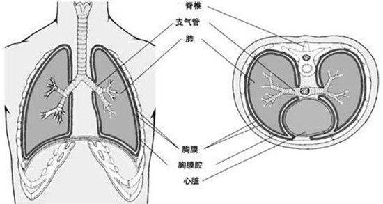 特色技術開化縣中醫院呼吸科支氣管鏡進入無痛時代