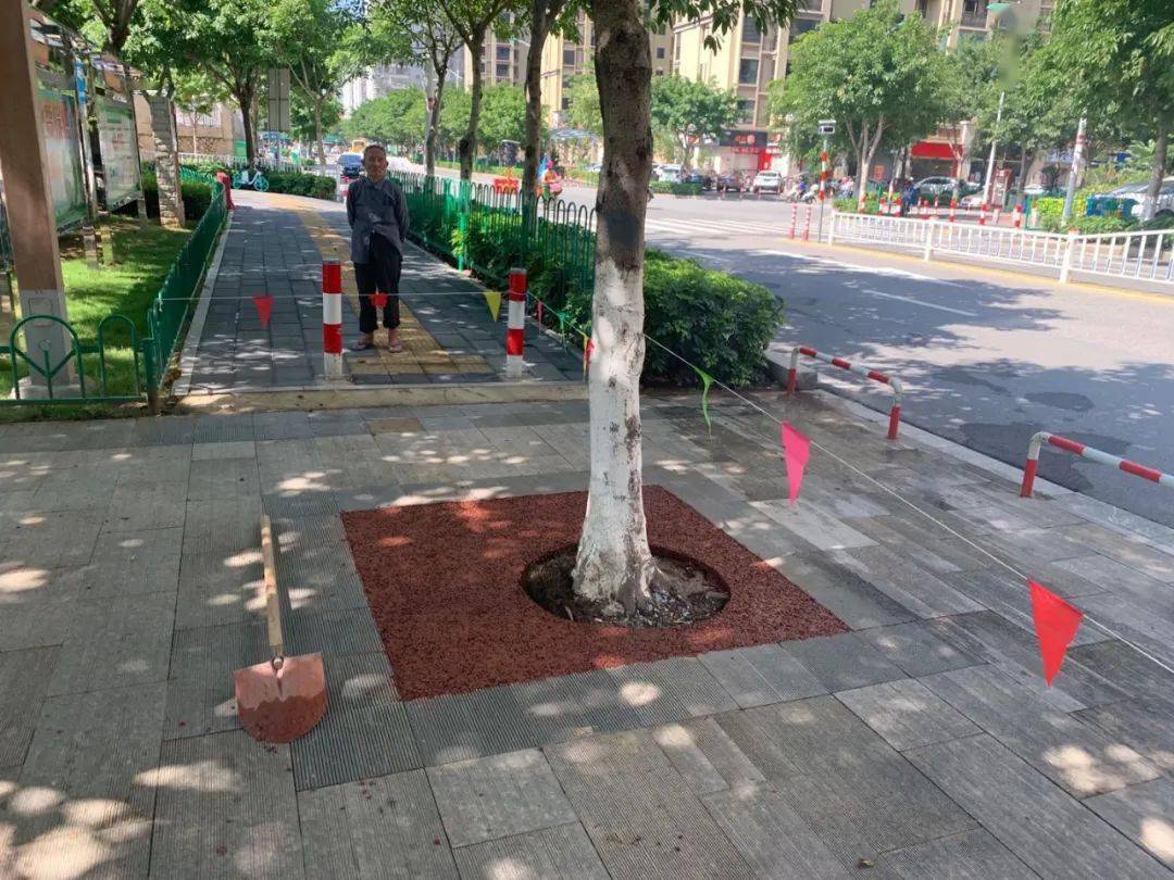 行道树树池改造提升工作翔安市政集团绿化工程有限公司的不得不提起谈