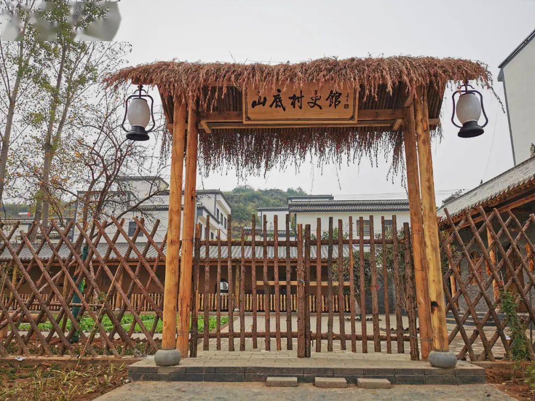 【周末出发】来宜阳这里抓住秋天的"小尾巴"!赏银杏,品乡愁