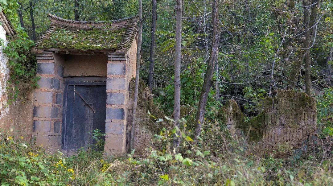 蓝田民宿招商黑沟村岭上明珠赛桃源