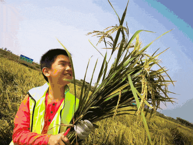 640_480gif 动态图 动图