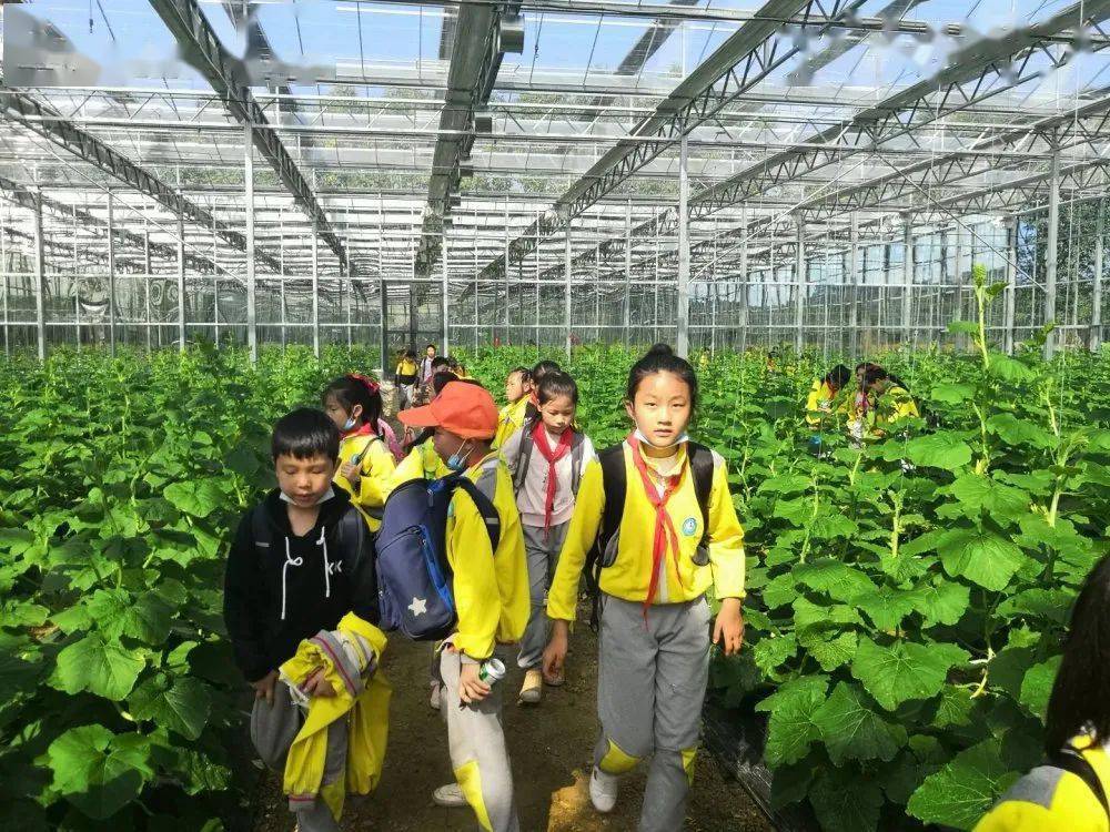 体验农耕大乐趣争做时代小劳模宜阳二小2020秋季研学活动