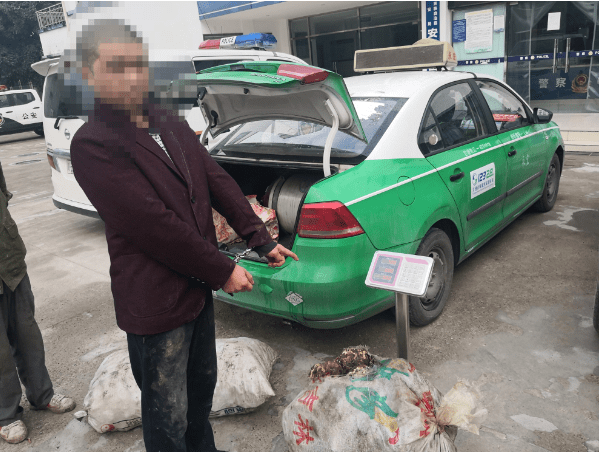 时代变了偷电动车养你变成了偷魔芋打赏你