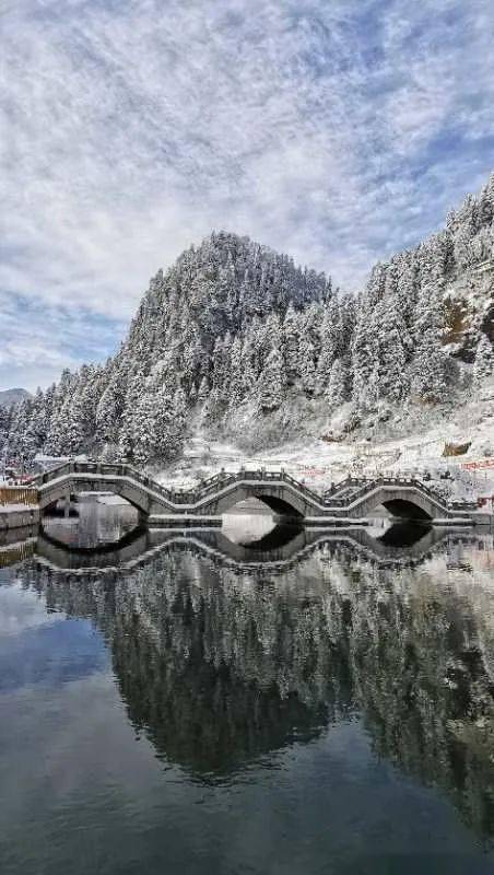 鸣岩松雪