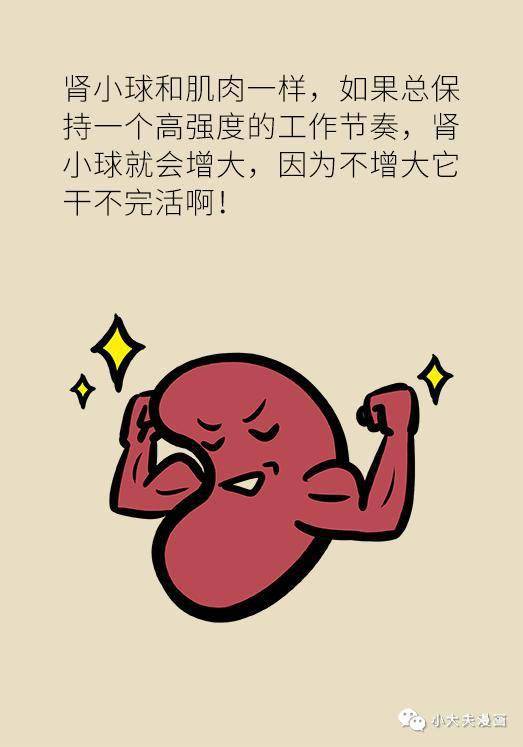 肥胖居然还伤肾?这回真的不得不减肥了