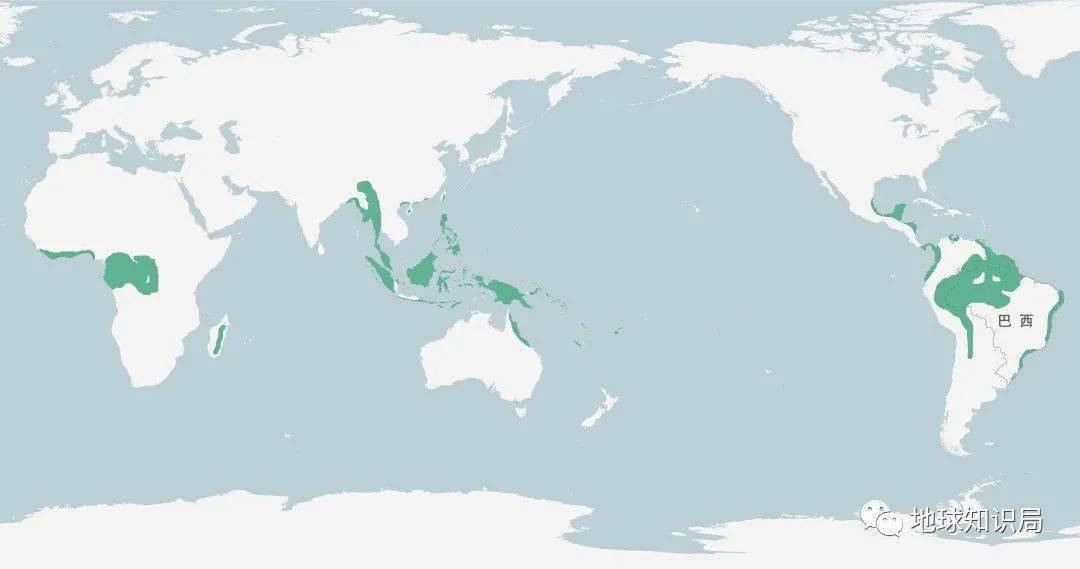 全球热带雨林大致分布,亚马孙是最大一块▼
