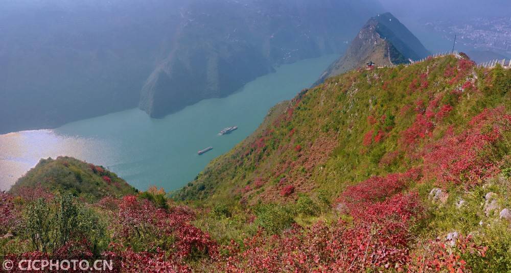 重庆巫山:长江三峡 万山红遍