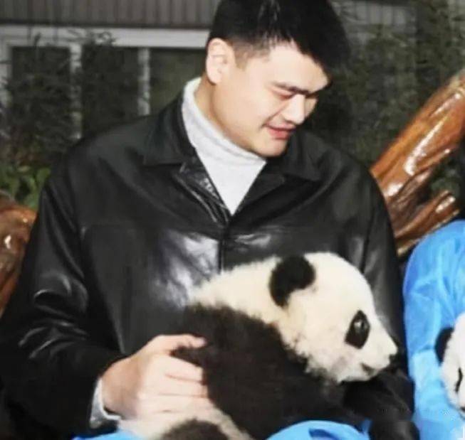 blackpink违规抱熊猫后续,求解释!_姚明