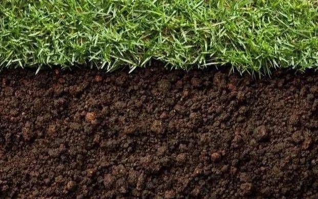 秋施微生物肥可以提高土壤的孔隙,让土壤疏松.