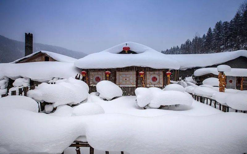 週末元旦春節3日穿越林海雪原漫步夢幻雪鄉冰雪大世界