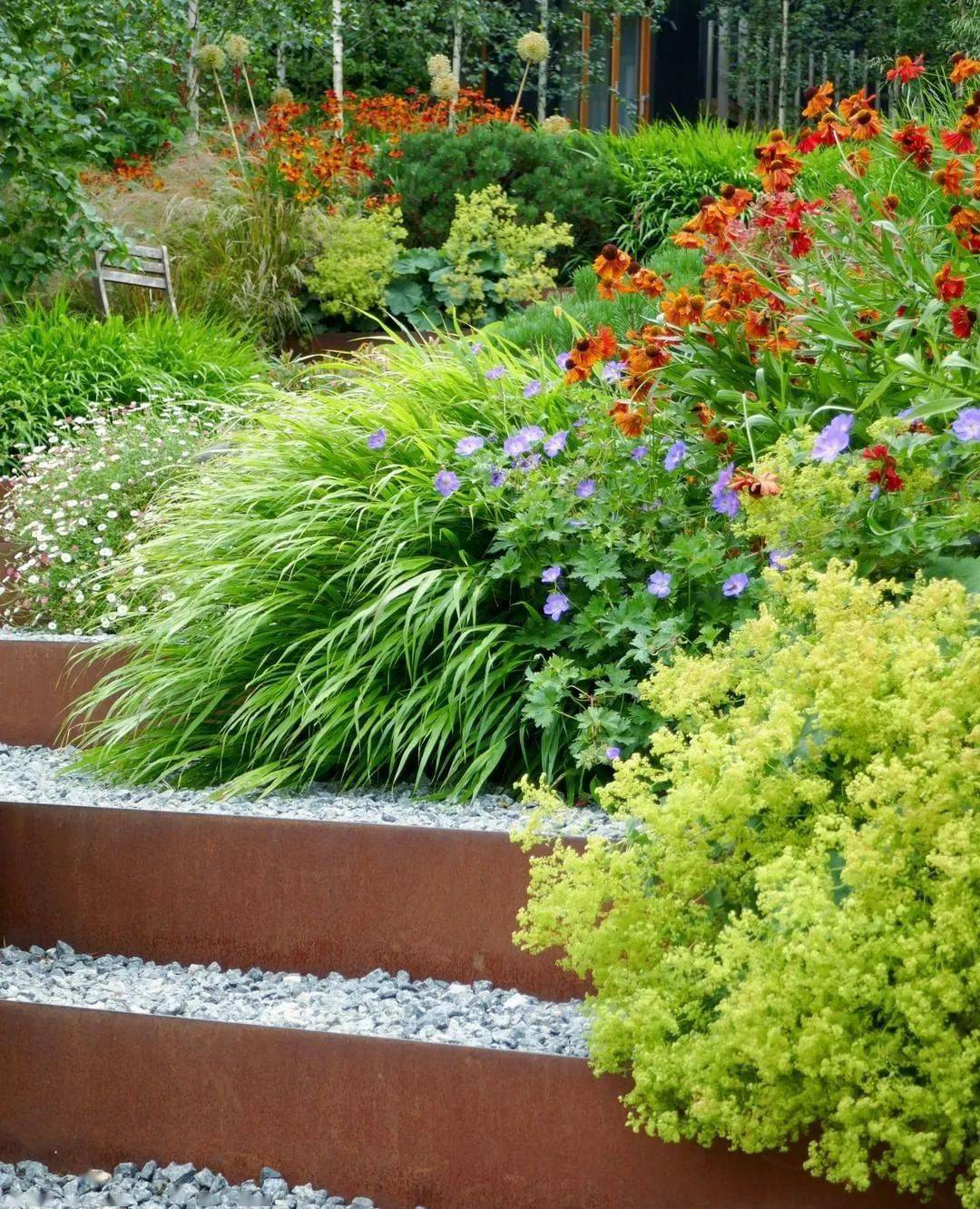 观赏草在小庭院中最常见的应用形式为与花卉配置形成花境.