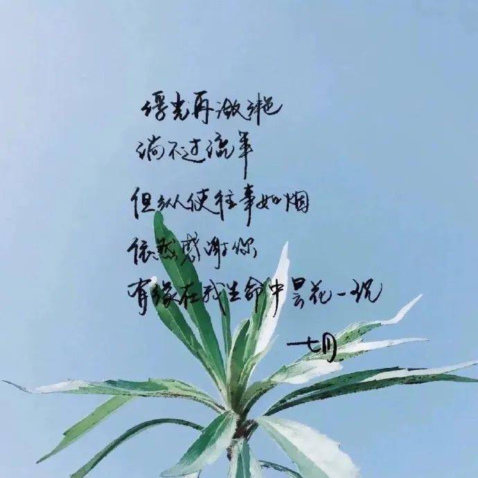 願你所有的情深意重,都能換來歲月溫柔, 願你一生努力,一生被愛, 想要