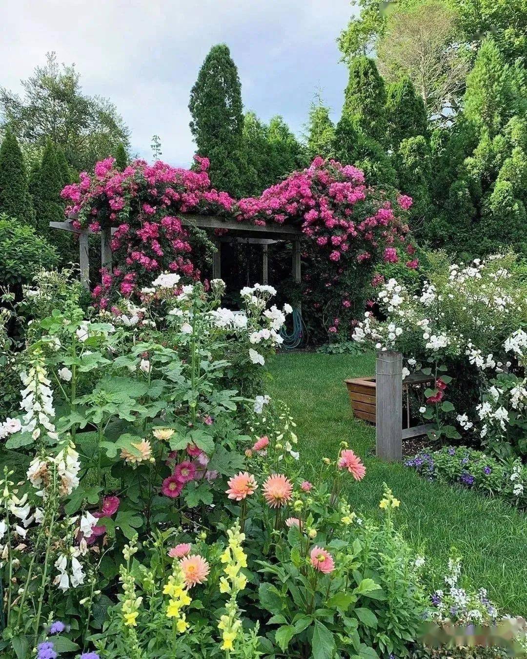 精致的院子怎能少了花园小径