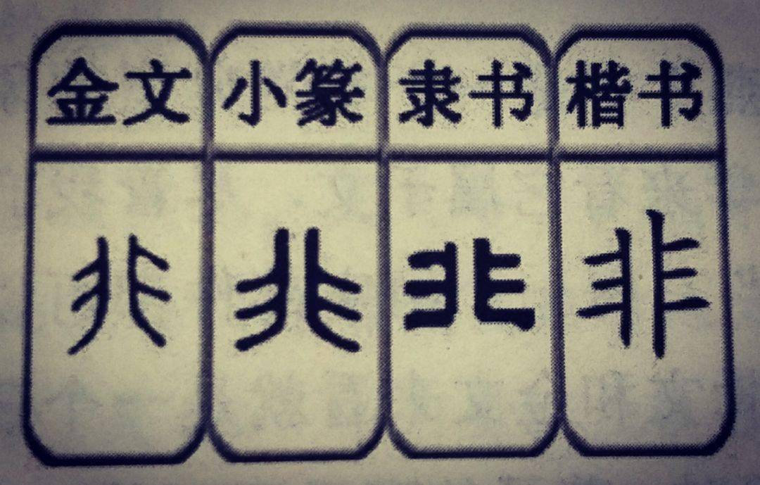 10动物之飞禽类象形字根飞非燕鸟隹