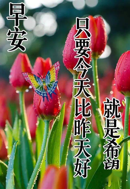 11月10日最漂亮早上好动态表情图片大全