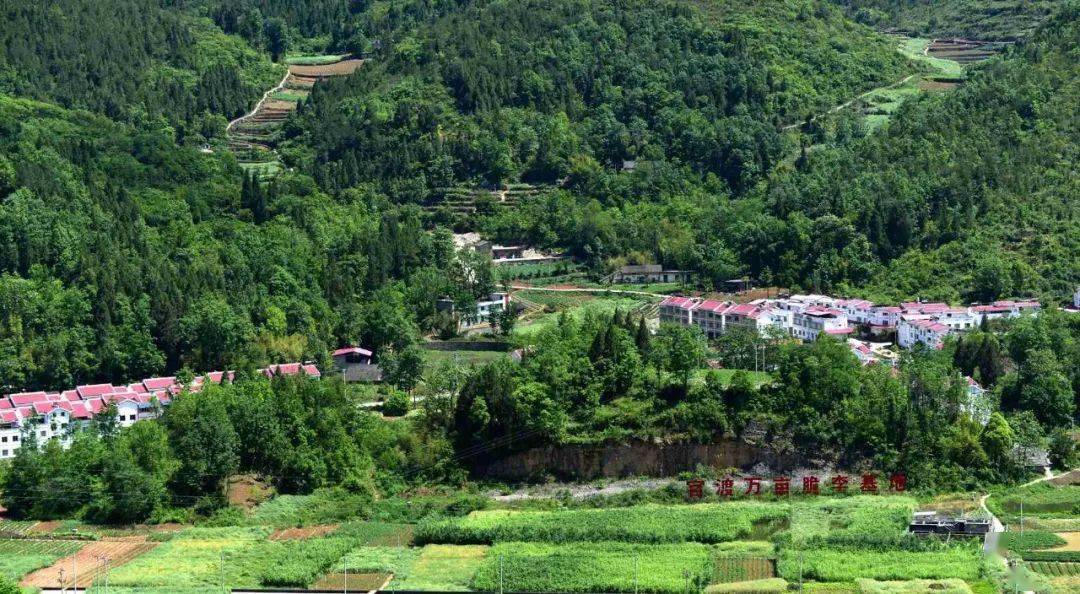 尹水才/摄《共谋致富经》巫山官阳镇.