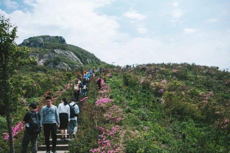 西坞金峨山上安了台救命神器为游客出行保驾护航