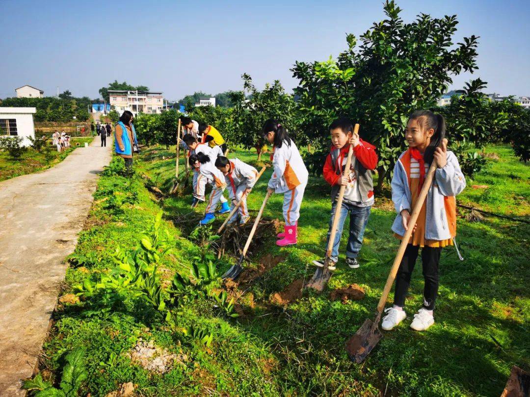 提高學生個人動手能力和勞動實踐能力,11月10日,石埡小學聯合我縣