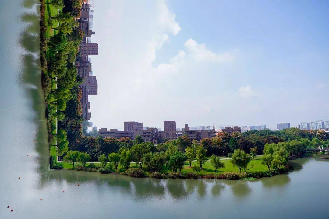 手机镜头与浙大美景的奇妙邂逅