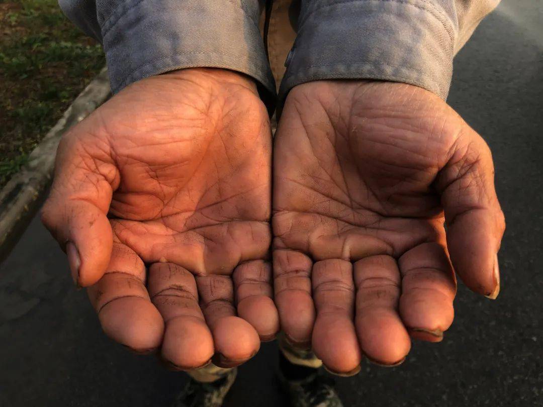 给你看看"建筑人的手"_三公司