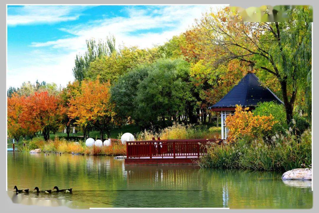 看完,你再离不开固安.