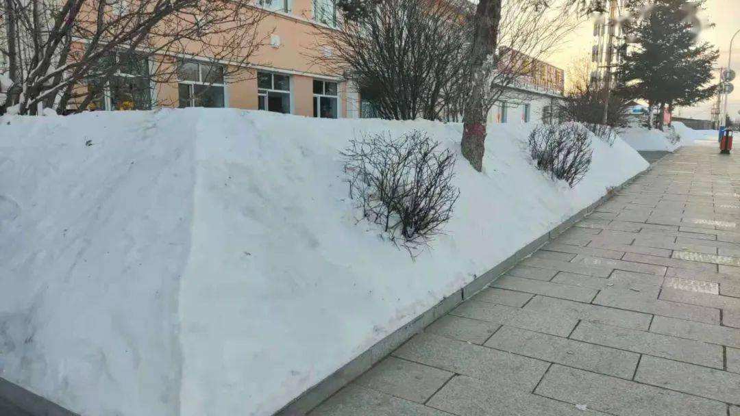 林业局精神文明办深入局址检查积雪清理情况