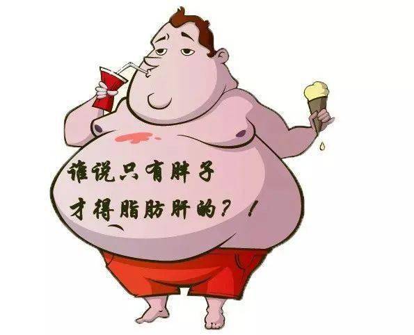 脂肪肝高清图片 卡通图片