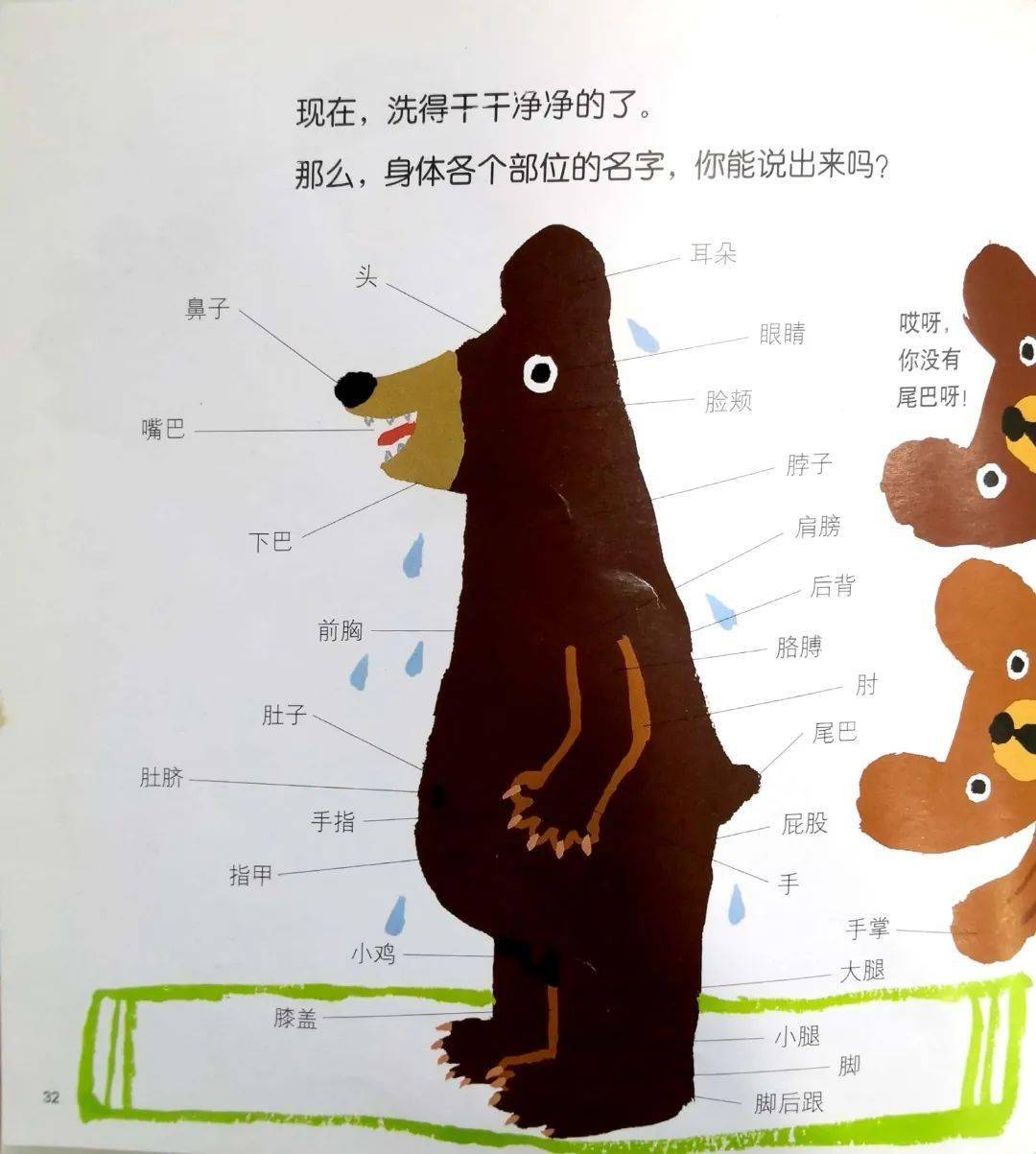 解析:在熊宝宝帮熊爸爸洗澡的过程幼儿可以进一步认识身体各个部位