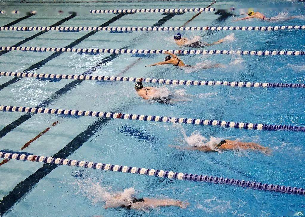 做个有涵养的游泳者,别再被人厌恶了